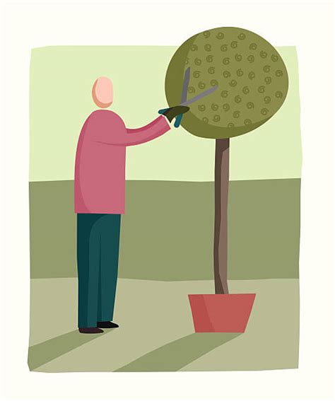 Tree Pruning Illustrations Royalty Free Vector Graphics And Clip Art