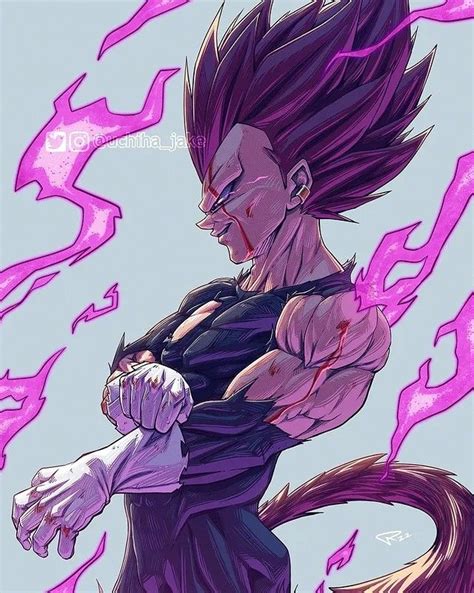 Vegeta Ultra Ego Anime Dragon Ball Super Anime Dragon Ball Goku