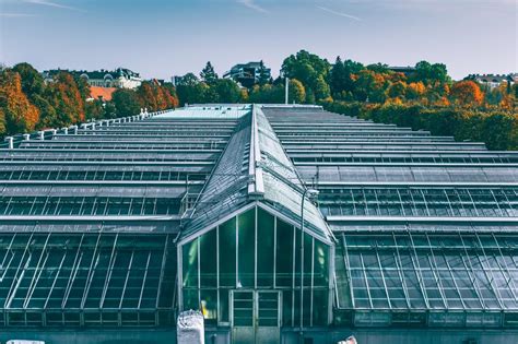 The 5 Benefits Of Solar Energy In Greenhouse Farming