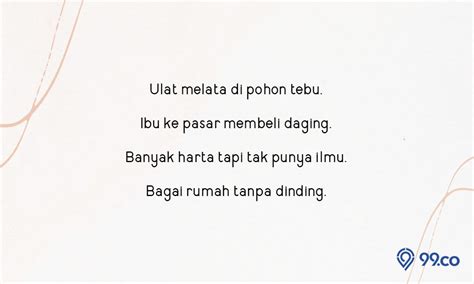 Contoh Pantun Muda Mulai Dari Percintaan Hingga Nasihat