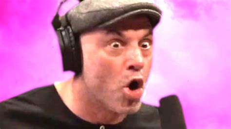 The Joe Rogan Podcast Is Terrifying Win Big Sports