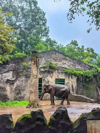 Harga Tiket Masuk Kebun Binatang Ragunan 2024 Lengkap Dengan Jam Buka