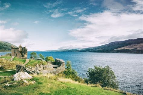 How To Spot Wildlife Around Loch Ness