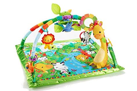 Top 10 Fisher Price Baby Gym Kick And Play - Home Gadgets