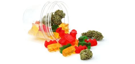 Cannabis Gummy Bear Recipes Make Thc Edibles At Home