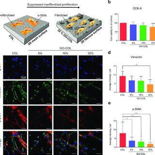 Co Culture Of Fibroblast Macrophage On Go Col Biocompatible Hybrid