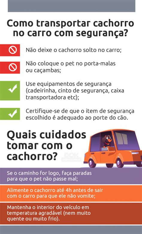 Cachorro no carro como transportar segurança DOK Despachante