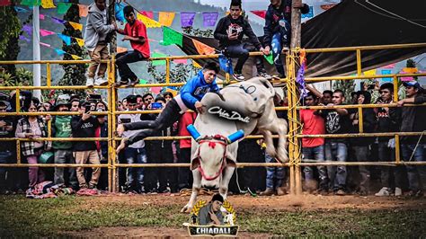 SAN FELIPE EL PORVENIR ASI SE VIVIO LA RECUA Y EL TRADICIONAL JARIPEO