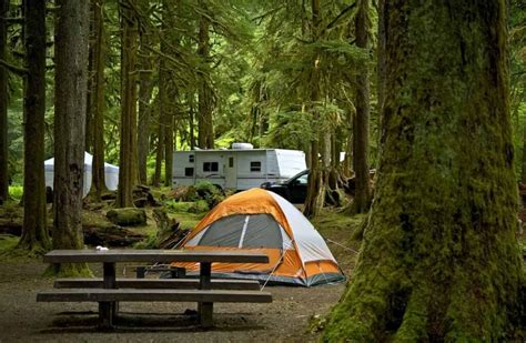 Clear Lake State Park Camping Guide - Beyond The Tent