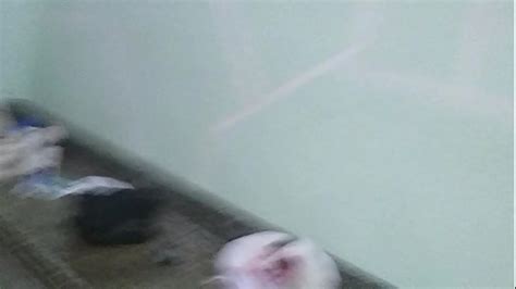 Jogador Videos Xvideos