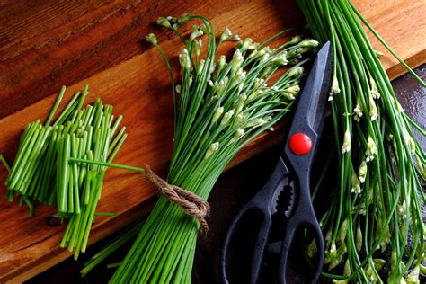 What Are Garlic Chives And How Are They Used