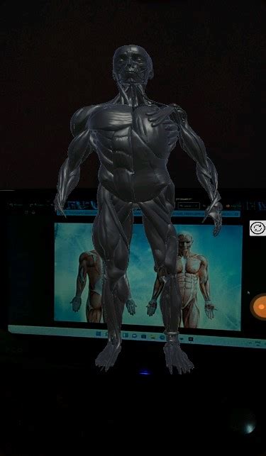 GitHub - Shilajit2002/Human-Body-3d-Anatomy-App