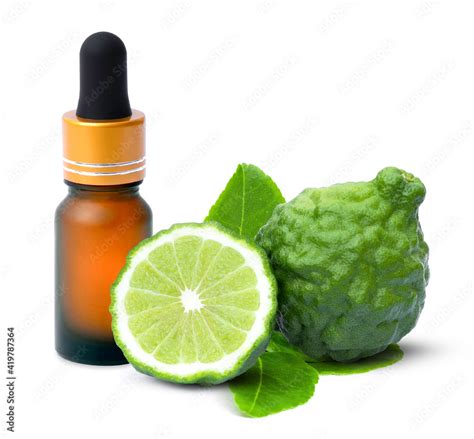 Bottle Of Bergamot Essential Oil Extract And Green Bergamot Or Kaffir Lime Fruit With Cut In