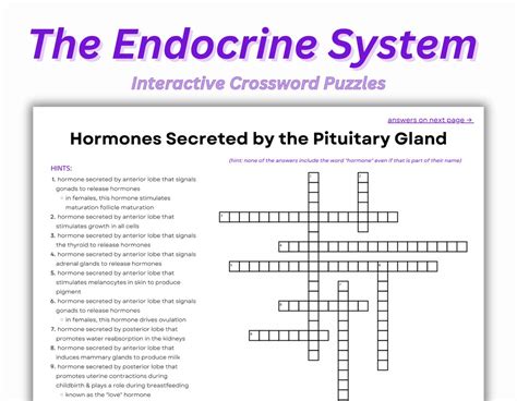 Endocrine System Workbook Digital Endocrine Hormones Worksheets