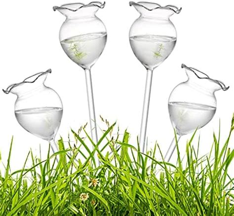 Kikiheim Plant Watering Bulbs Self Watering Globes Hand Blown Clear