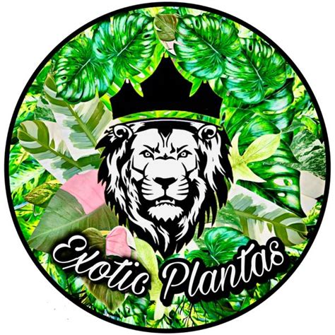 Exotic Plantas Instagram Facebook Tiktok Linktree