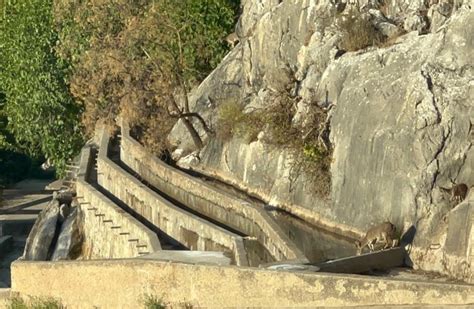 Villanueva Del Trabuco M Laga Llena Dos Pozas De Agua Para Que Cabras