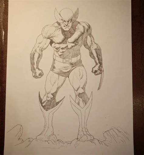 Wolverine Painting By Ariel Olivetti In Dt Tube S Wolverine