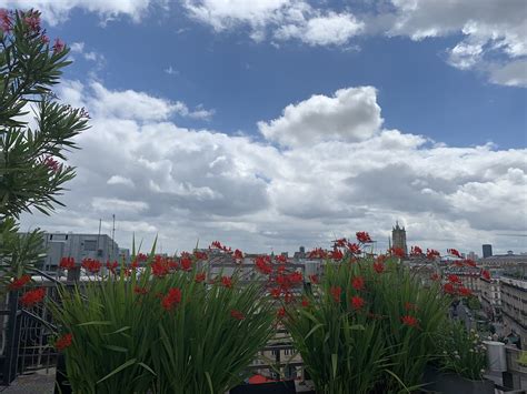 Sous Le Ciel De Paris Une Chanson Qui Faisait R Ver Aujo Flickr