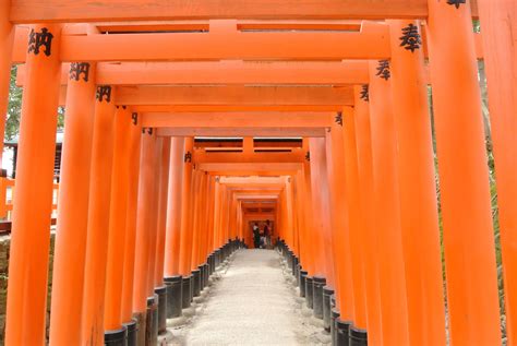 伏見稲荷神社の赤い鳥居のトンネル、千盆鳥居。フレーム付き写真。センボン。 Ba