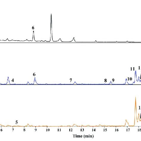 Uhplc Q Orbitrap Ms Base Peak Ion Chromatograms Of Ors Extract The Id