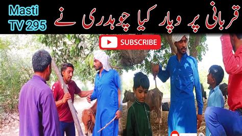 Qurbani Per Wapar Ka Kam Chaudhary Kukki New Video New Tv Only On