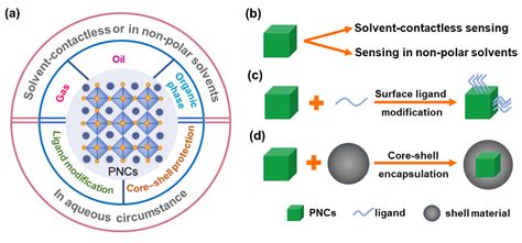 Biosensors Free Full Text Recent Progress Of Perovskite