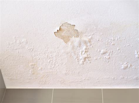 How To Repair Water Damaged Drywall 1 Best Repair Water Damaged Company