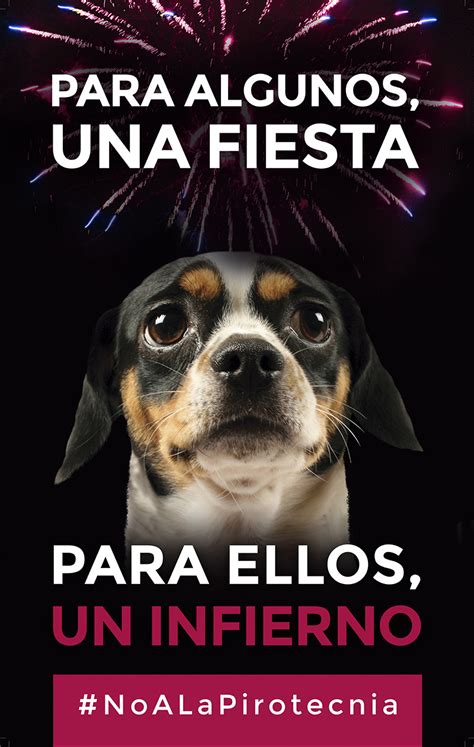 Tarjetas Y Frases Para Decir No A La Pirotecnia En Las Fiestas