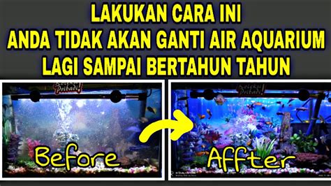 PENYEBAB AIR AQUARIUM MUDAH KOTOR DAN CARA MENGATASI AIR AQUARIUM MUDAH