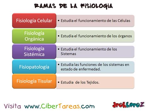 Tipos De Fisiología TIPOSDE