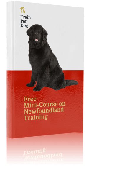 Newfoundland - Training Course on Newfoundland