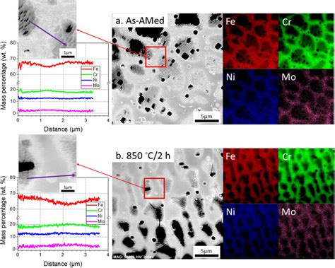 Tem Eds Results Tem Eds Mapping And Line Scanning Results Of Cellular