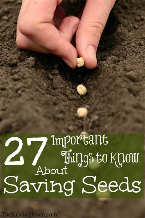 27 Important Things You Should Know About Saving Seeds Survival Mom