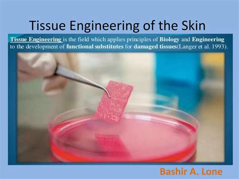 Tissue Engineering Of The Skinppt