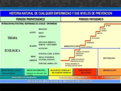 Historia Natural De La Enfermedad