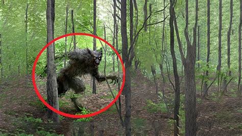 10 Werewolves Caught On Camera Youtube