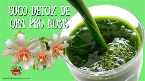 Benefícios Do Suco Detox