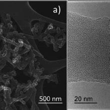 Electron Images Of Sample K A Sem Image Of Polypyrrole Nanowires