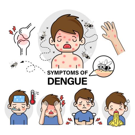 120+ Dengue Fever Clip Art Stock Illustrations, Royalty-Free Vector Graphics & Clip Art - iStock