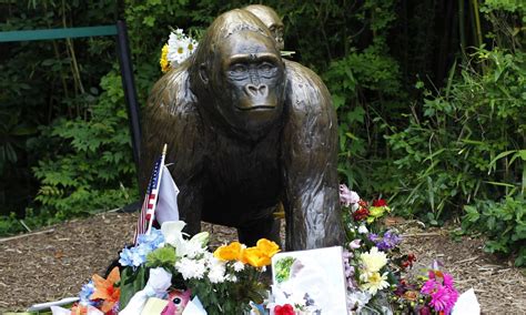 Photo of Harambe to be Sold as NFT on 5th Anniversary of His Death | Complex