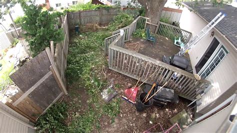 How To Clear An Overgrown Backyard Timelapse Youtube