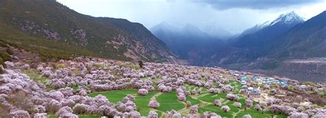 Tibetan Festivals - Tibetan New Year, Shoton Festival, Saga Dawa and ...