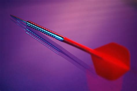Purple Dart Still Life Free Photo Download | FreeImages