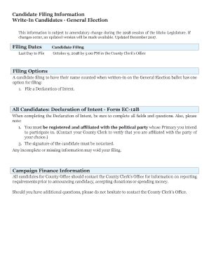 Fillable Online Candidate Filing Information Write In Candidates