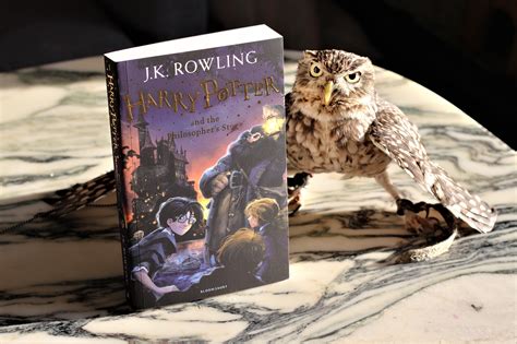 The Bookish Owl Harry Potter And The Philosophers Stone By J K Rowling Michelle Louring