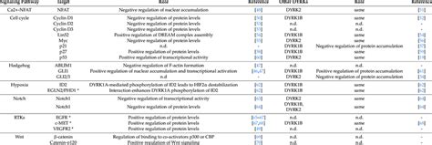 Signaling molecules targeted by DYRK1A and other dual-specificity ... 