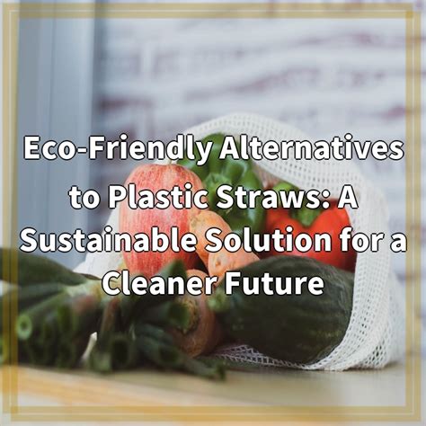 Eco Friendly Alternatives To Plastic Straws A Sustainable Solution For