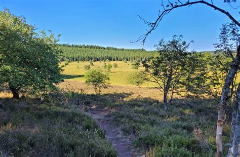 Les Tourbières de Longeyroux Sites Naturels Parcs Naturels à Meymac