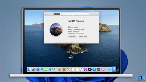 The Complete Guide To Install MacOS On Windows 11 10 Gadgets To Use